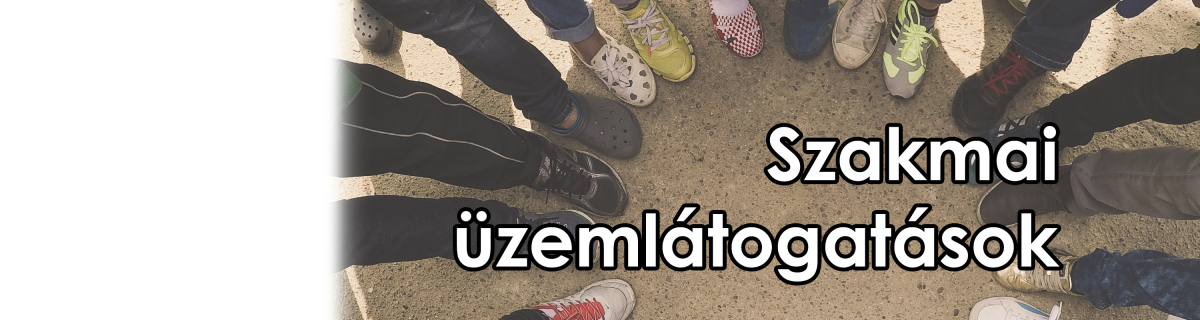 Szakmai üzemlátogatások