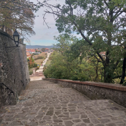 Dr. Mészáros Bernadett - Veszprémi Főegyházmegye, Érseki Hivatal