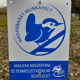 Hallgatók által készült odúval teszik komfortossá a madarak élőhelyét  - Madárbarát munkahely lett a PTE MIK
