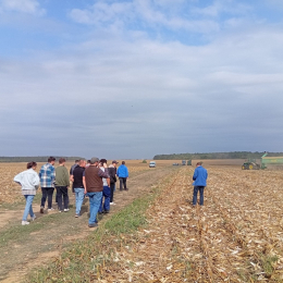 Zsebe Tamás - Bóly Zrt.-2025.09.26